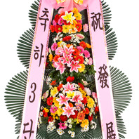 축하3단 기본