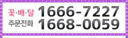 꽃배달 주문전화 1666-7227 & 1668-0059